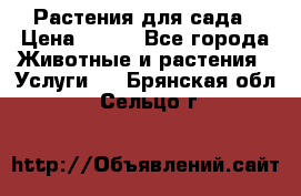 Растения для сада › Цена ­ 200 - Все города Животные и растения » Услуги   . Брянская обл.,Сельцо г.